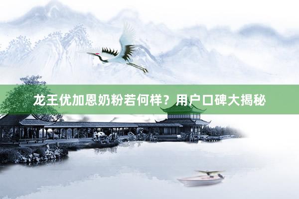 龙王优加恩奶粉若何样？用户口碑大揭秘